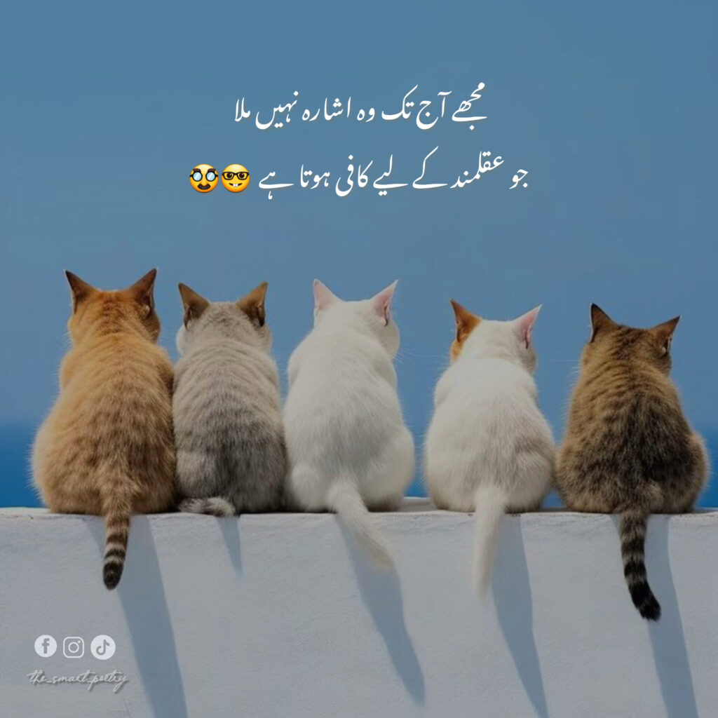Funny Jokes in Urdu Text
