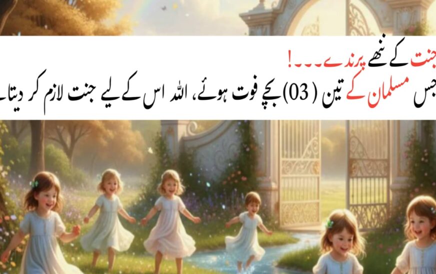 Jannat Ke Nanhe Parinday – Islam Mein Bacho Ki Wafat Aur Walidain Ke Liye Khushkhabri