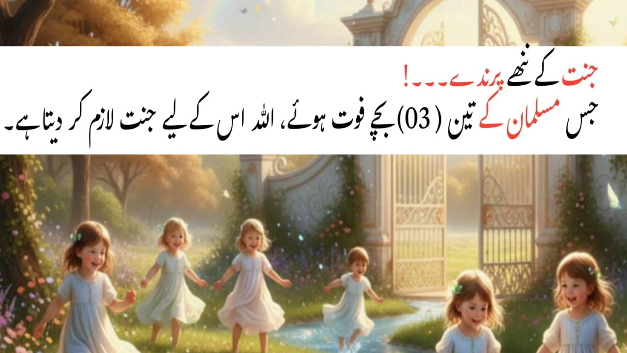 Jannat Ke Nanhe Parinday – Islam Mein Bacho Ki Wafat Aur Walidain Ke Liye Khushkhabri