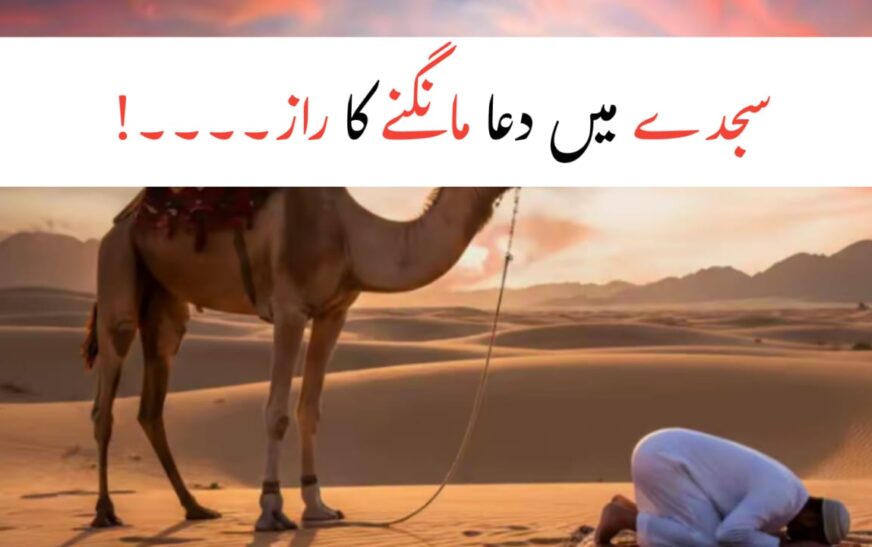 Sajda Ki Dua Ka Raaz – Sajda Mein Allah Se Qareebi Aur Khamosh Ibadat