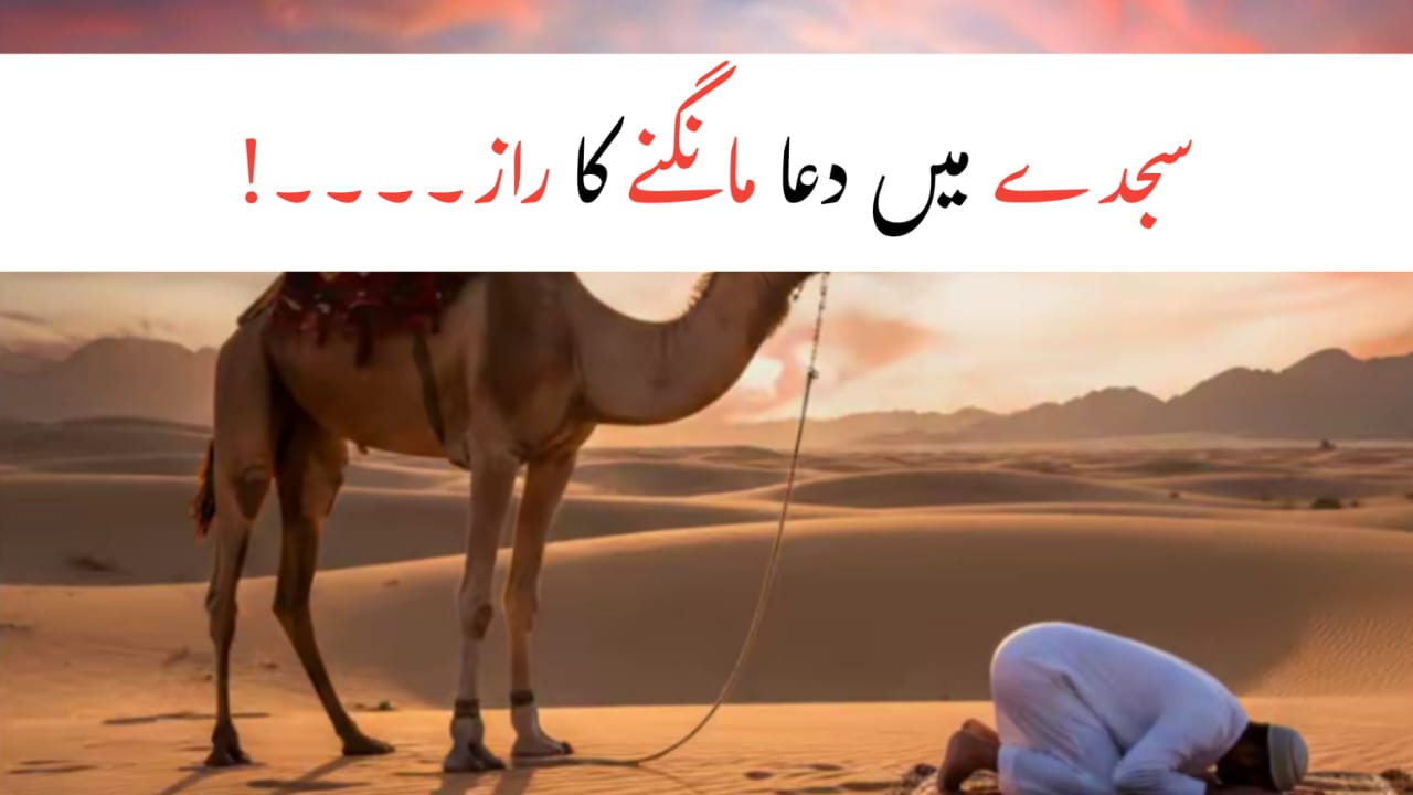 Sajda Ki Dua Ka Raaz – Sajda Mein Allah Se Qareebi Aur Khamosh Ibadat